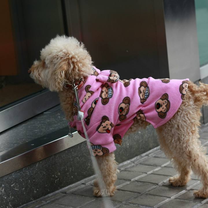 F7847528 eb2d 47d6 804e 0abf820b4d8a 1548263850075