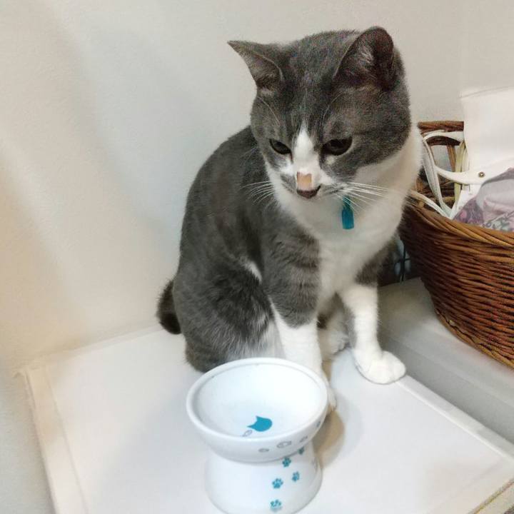 F7847b16 212b 4c9c a9e1 546b2c46b501 1636928647993