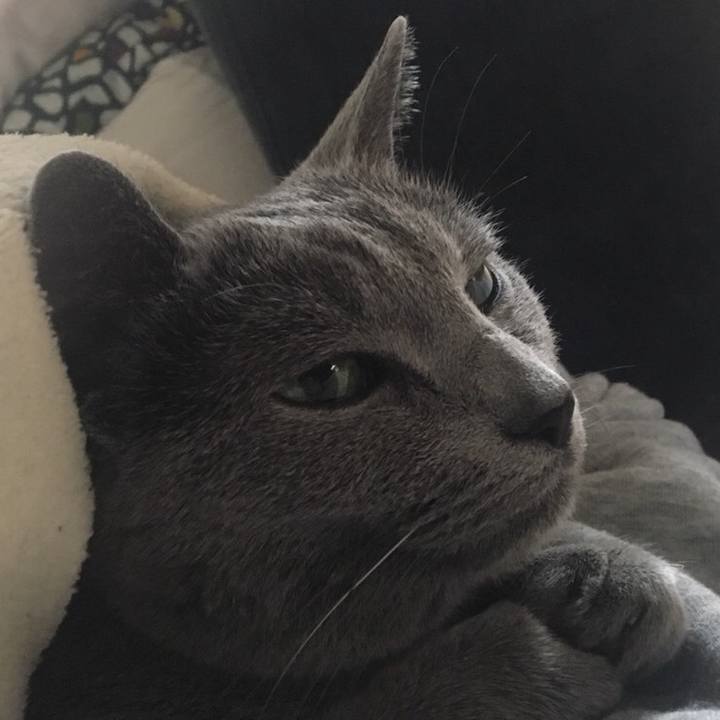 F7849075 5d25 4d2d bace c092c7a6087a 1554765473562