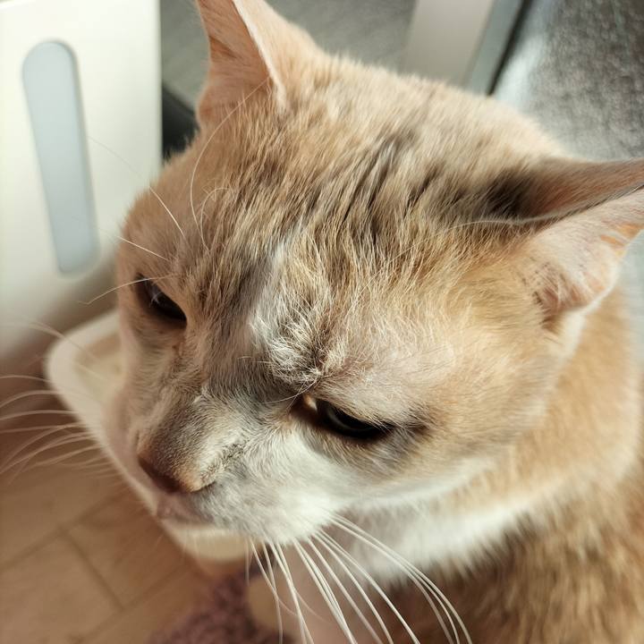 F7849ad7 d629 43c8 9d64 7548d48e4e78 1641602976118