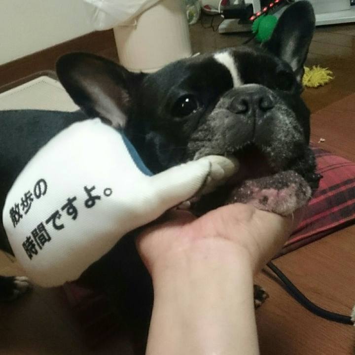 F7850666 dabf 4d83 a718 cbce52e1138e 1522924729430