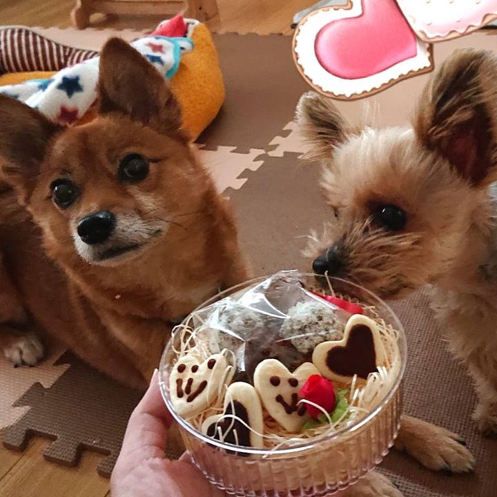 F7853020 4a6d 4e68 8a46 43ded6766e0e 1581747774108