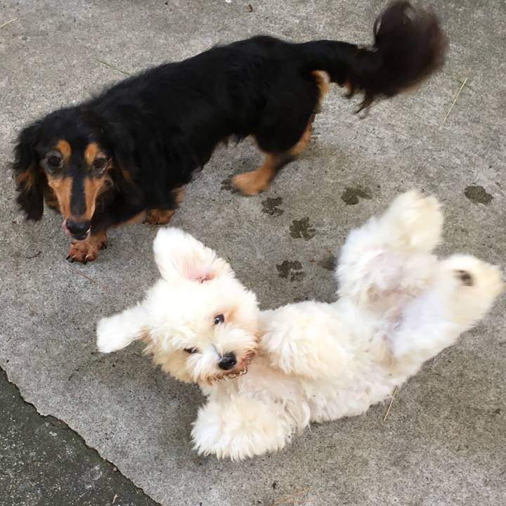 F7857f62 9c56 4769 b23d 9c6ef0010bda 1535014684941