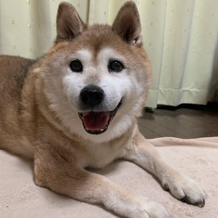 F785b42b c99f 4f0a 82fe 4ff8966c0421 1599565186443