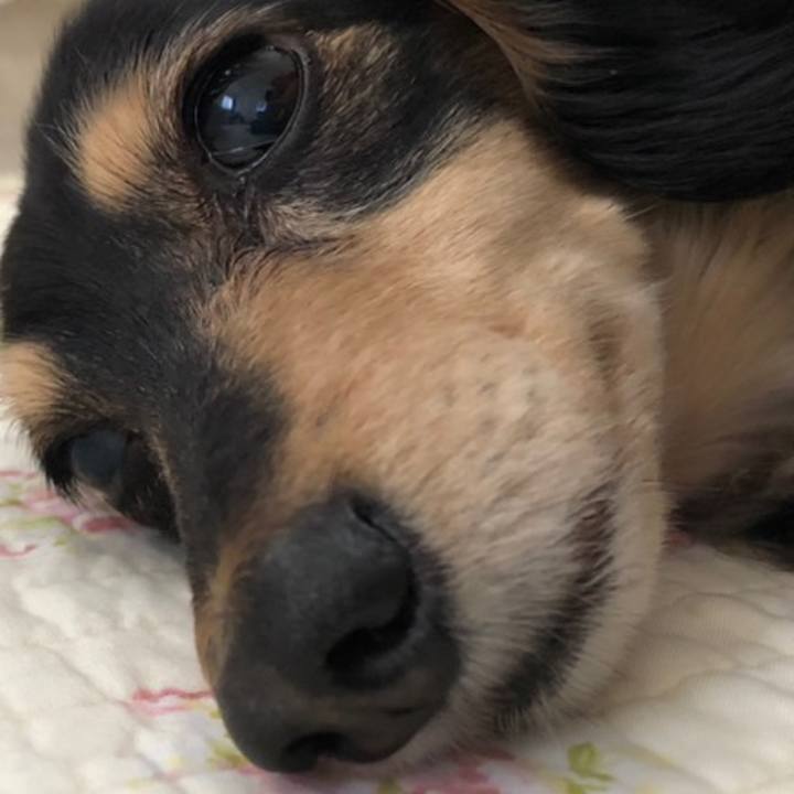 F785c539 6116 4e37 948c 9d5f36a4f80d 1558657608834