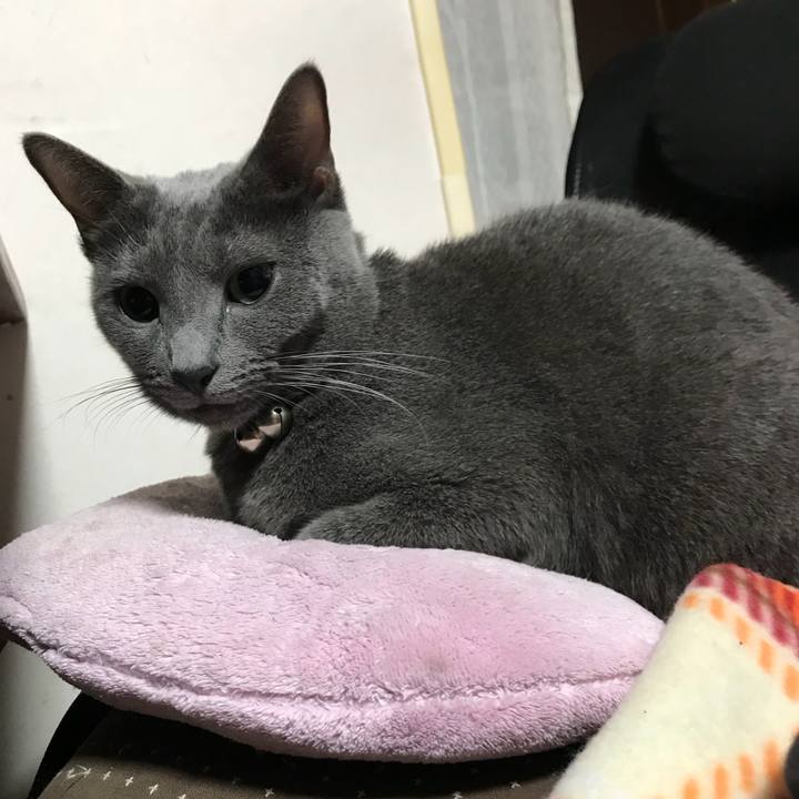 F785d794 b704 4448 9d25 64bff0174819 1508621634613