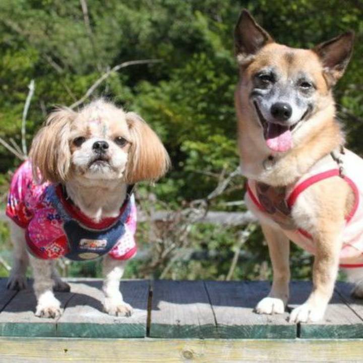 F785fcb7 f6a2 470b b43a ac4df7a49042 1590640569401