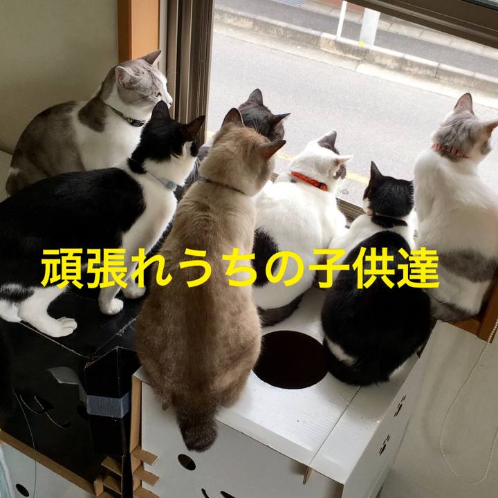 F786010f 4153 4d18 bf83 e0ff39fc416f 1635643551737