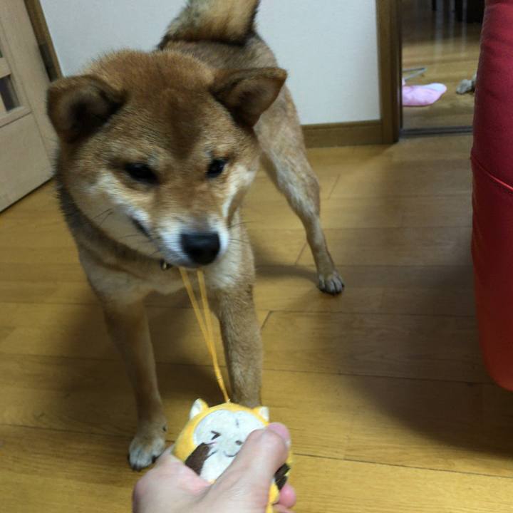 F78629c0 f442 4833 ba6d 5e0d5cfe239b 1521024253346