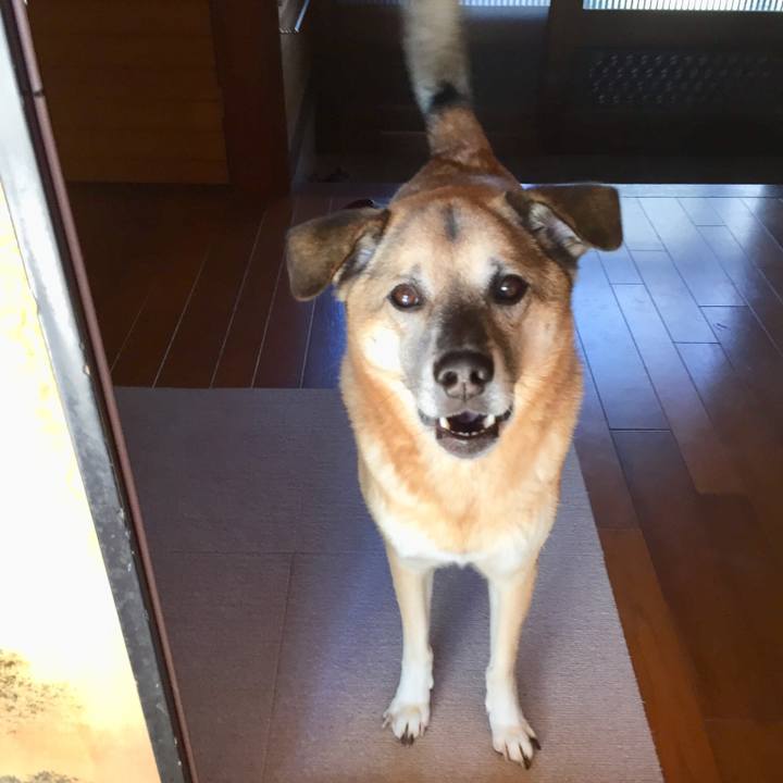 F78647a4 d4af 417e 89b9 817f5d0d0b9c 1510281372187