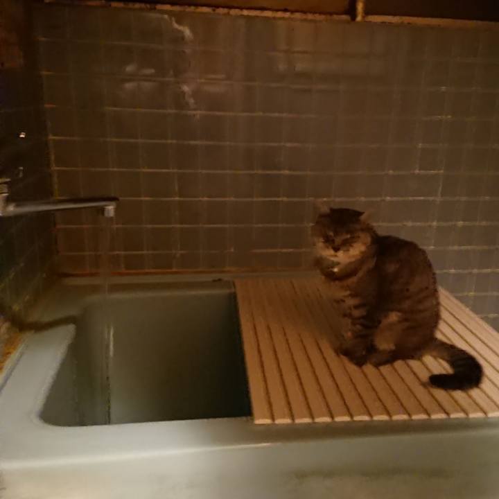 F786668c 3705 42f3 864a dae09ded2a71 1572600872530