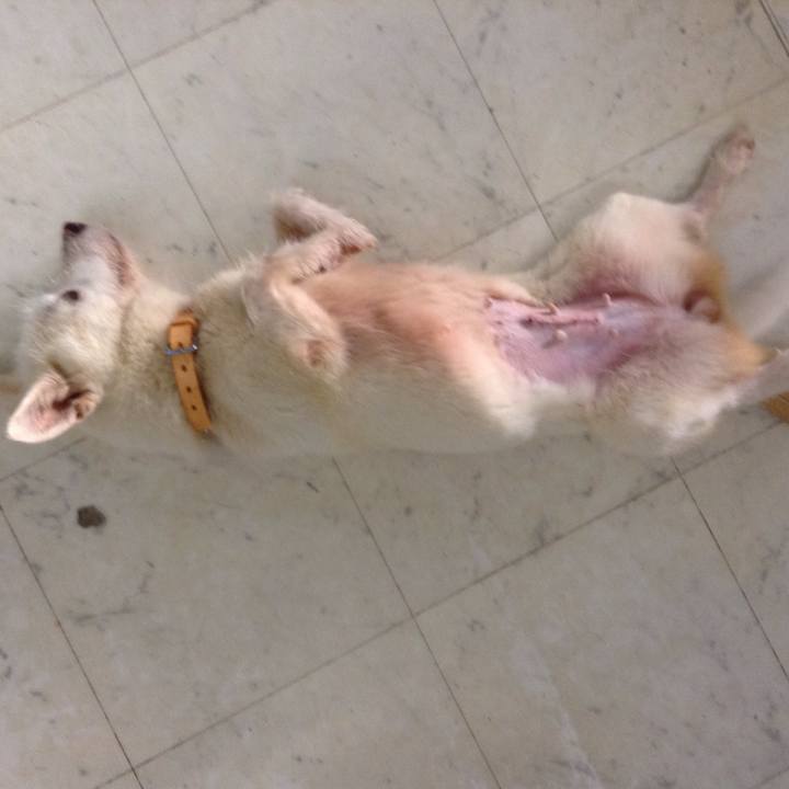 F7867062 e5e6 4f60 aa75 b9e550e0597e 1531107098753