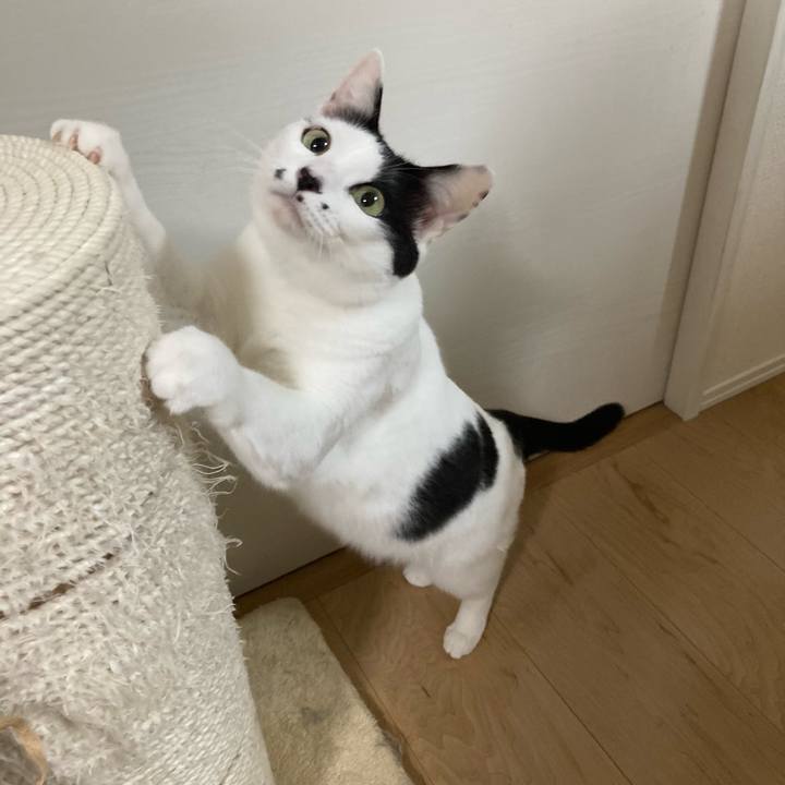 F786756a 8044 447e 8011 4268ded3f844 1762978616020