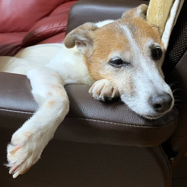 F786923f 4145 48bb 8af4 dc389cad428d 1619705115995