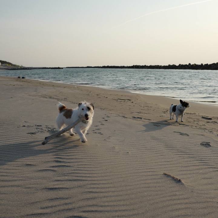 F78697ef 8d93 4bed 8672 ccbe746764f3 1526098202330