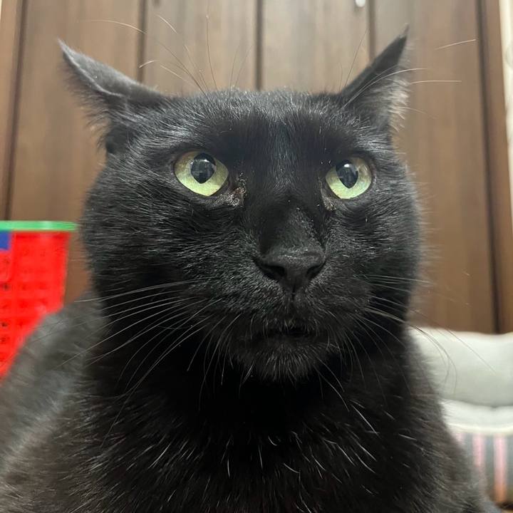 F786b18c ebca 47bb ba1b b4e49edc191c 1742564442240