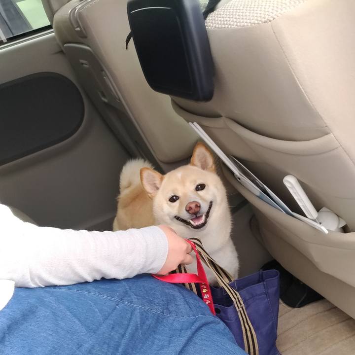 F786b768 8e43 4e39 9f26 c33e11526fef 1592632285635