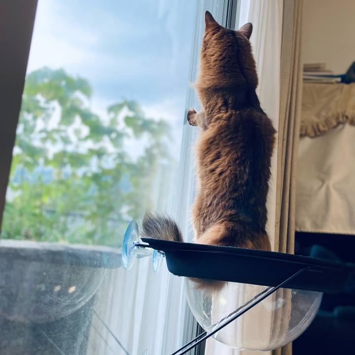 F786c1be 1c61 4c90 8e4c 94e147f4ac70 1653552301025