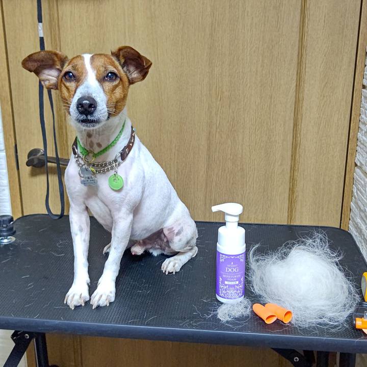 F786c673 cca9 4d24 ac12 17046e06955d 1654519016782