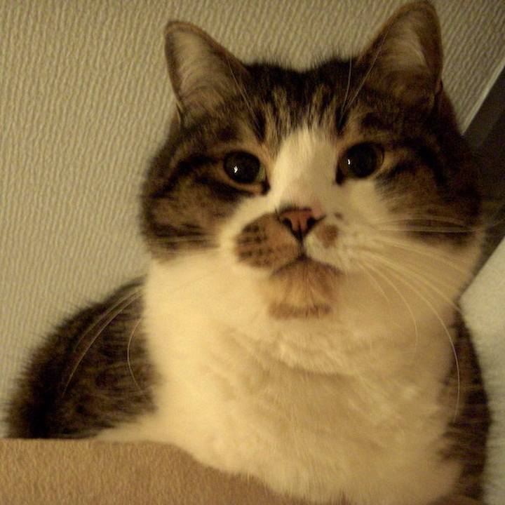 F7870989 cd8b 416a 9141 e425a976a0cb 1517926743601