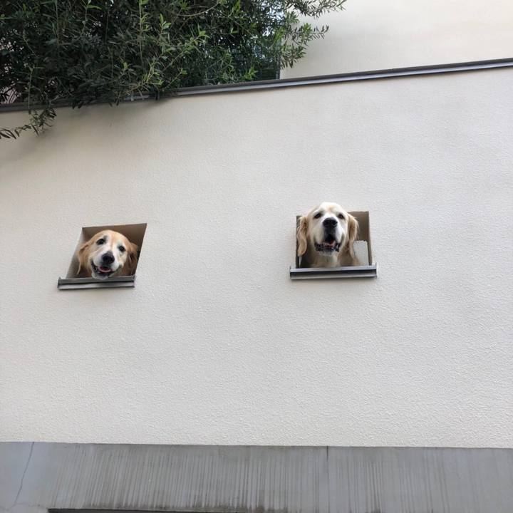 F78718b2 40b7 404c 8a06 7e30d9f942a0 1537347311949