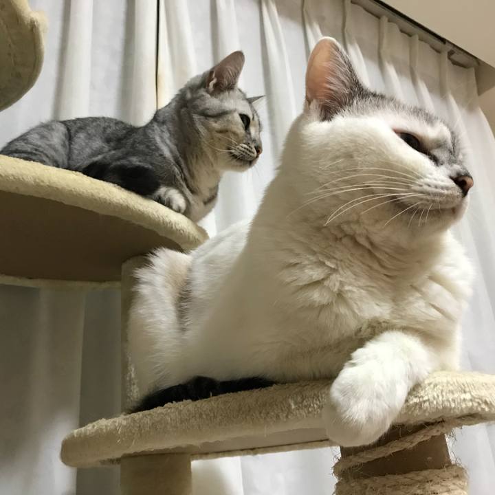 F78742a6 4903 4991 b47a e4ec13d0dfb6 1539249759515