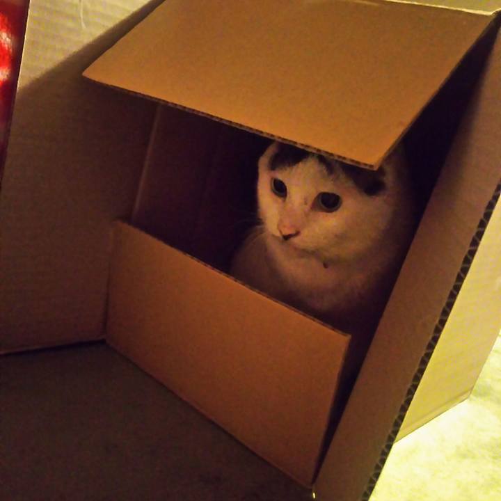 F7877b36 7dc9 4c96 9c3f 9c19167bf9ff 1571943402002