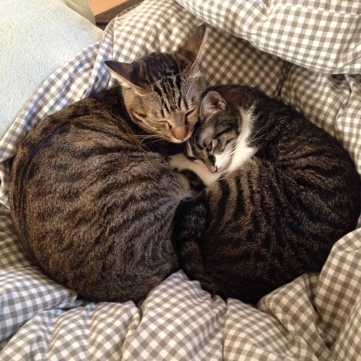 F787b54e 7b01 4eea a8d5 dcf5b6e0cd33 1510196672277