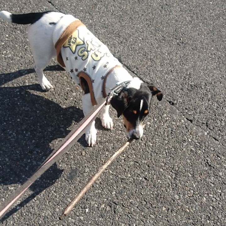 F787eb16 4068 46de aba6 3058a15ef57e 1550710357228