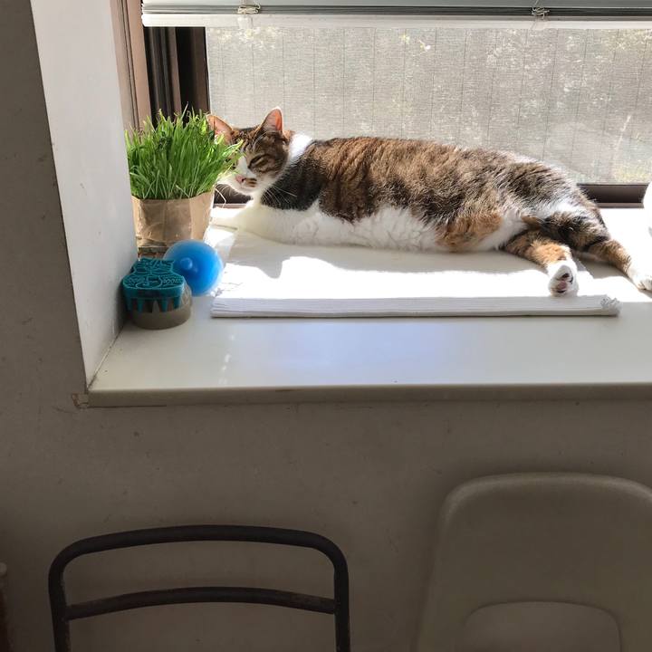 F787ec01 65de 496c 9d8c c37ef94010a5 1603942939199