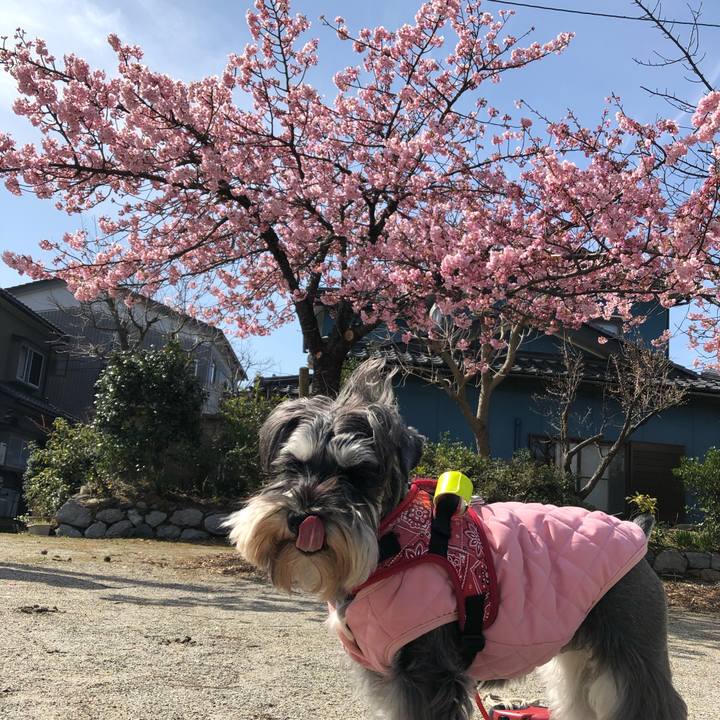 F7880aad e5e8 4d41 b02d ce3797ab4020 1583589792567