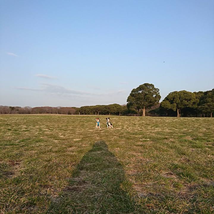 F788194e 9d0d 4ca9 8cd9 457b8970e41b 1551429243063