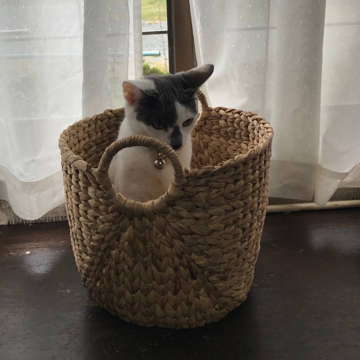 F7888943 b22f 43ea a9c1 8c74dc7afeac 1507952989786