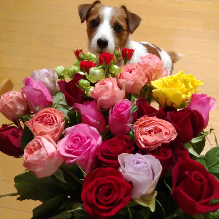 F7888a08 d7ac 4aef b54b 5aa6833f9eb8 1543656102222