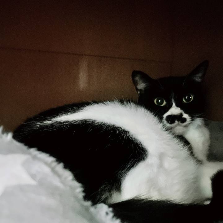 F7889508 b457 4055 9469 cb197edd1d6f 1676524255193