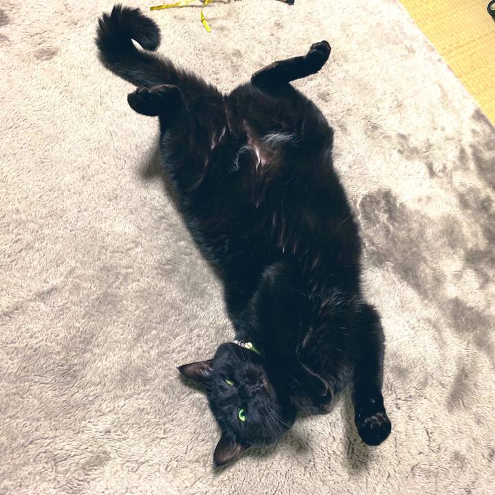 F788ba1f 2724 41d5 8631 26ed18107266 1550103492509