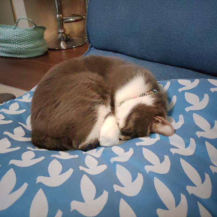 F788eb28 105a 4910 8d2c f85dc75f589d 1704808352777