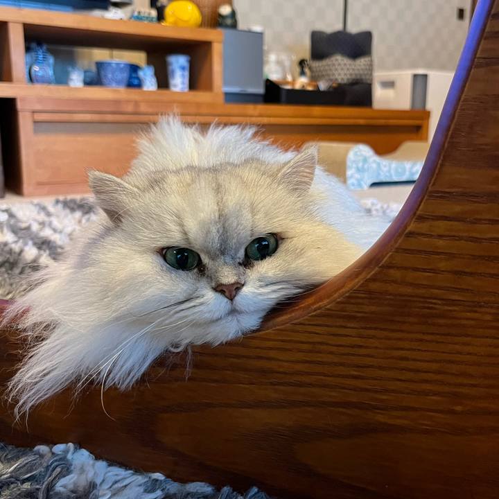 F788f0d2 a696 45af b926 fc7d95be0904 1709458580641