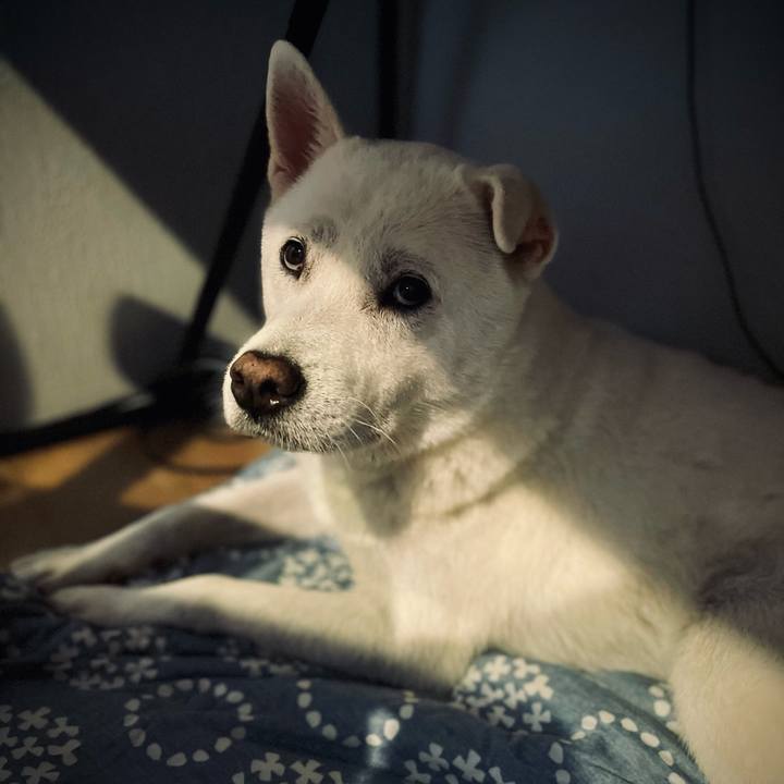 F788f915 bb38 4dcc 961b 794de68d4c42 1757811268109