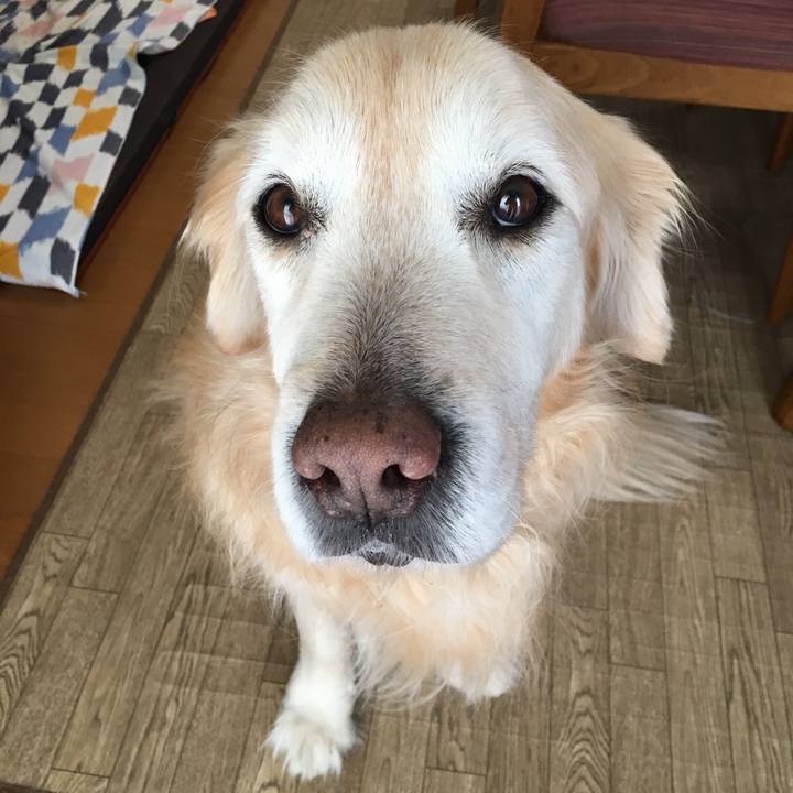 F78916fc c9e1 4220 ad5a 24c2f354e711 1520757252705