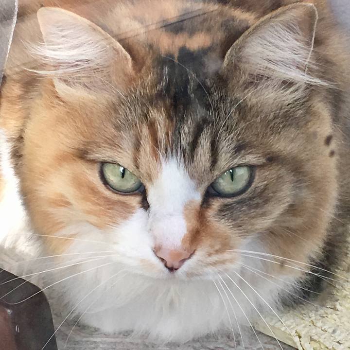 F7891e4e 81ee 4bc1 b410 b167a398f4f3 1557697590461