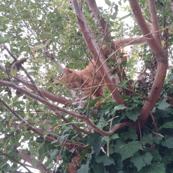 F78945d2 4821 4277 9474 591e5a950df4 1730857327303