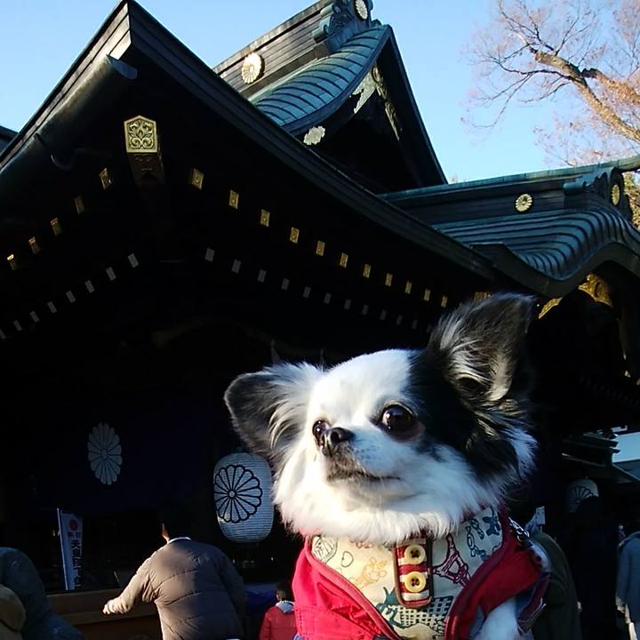 F789709e 05c1 473a b380 e13966153918 1546521829931