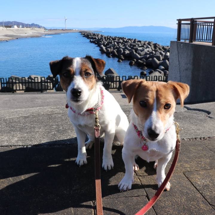 F78976e2 19ca 4eb9 9493 21c4079e520a 1515034743711