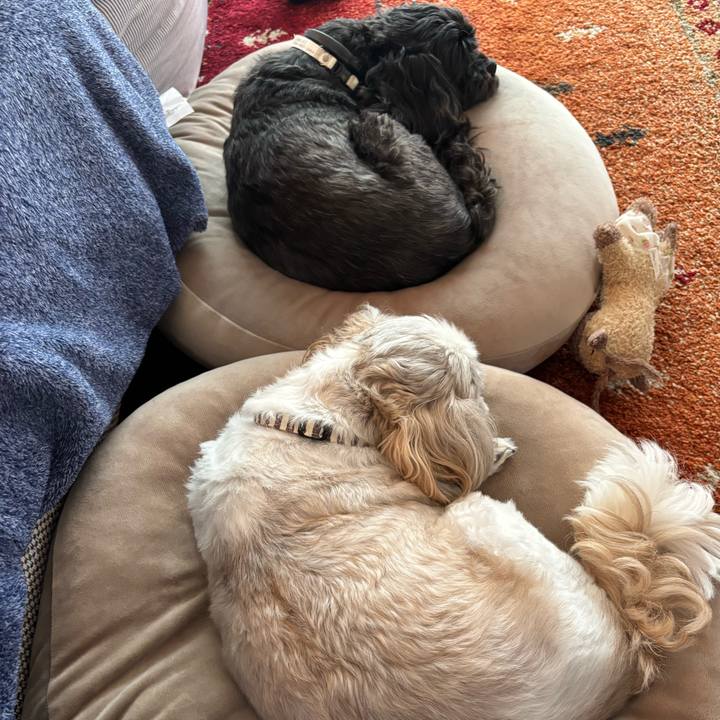 F7898ddc 9a7f 40a0 b047 b74206ce69e4 1762677405858