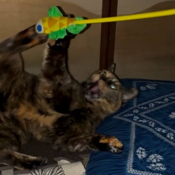 F789c5ca 5135 42b8 8501 54e515e308a2 1747863110739