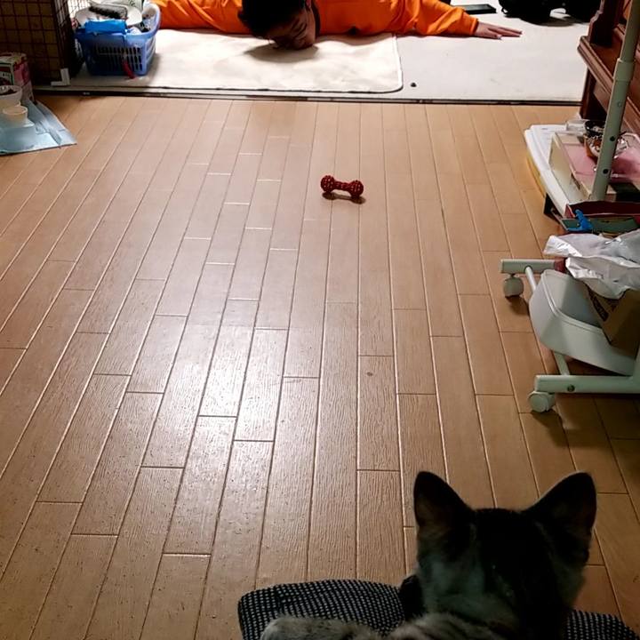 F789ca18 9982 4442 b49b f68eabab8ae4 1664879101899