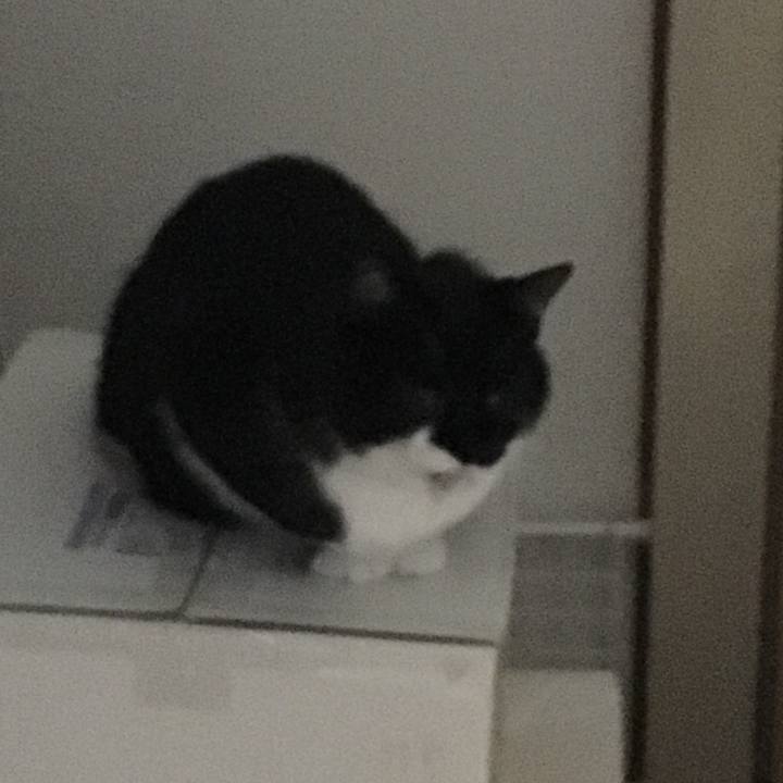 F789f245 9eb3 4ace 8b65 08ca0c55edd4 1549510010739