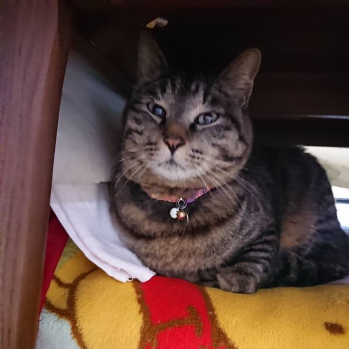 F78a167b 2f54 4628 a902 ecb593f3aa0f 1649451685276