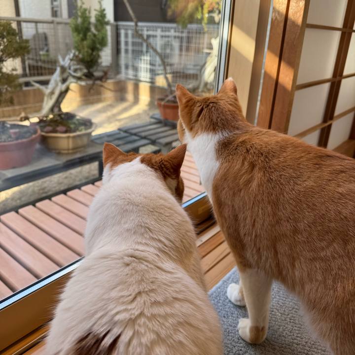 F78a2237 2657 4744 9a6f 9c8fb194c70b 1769567252914